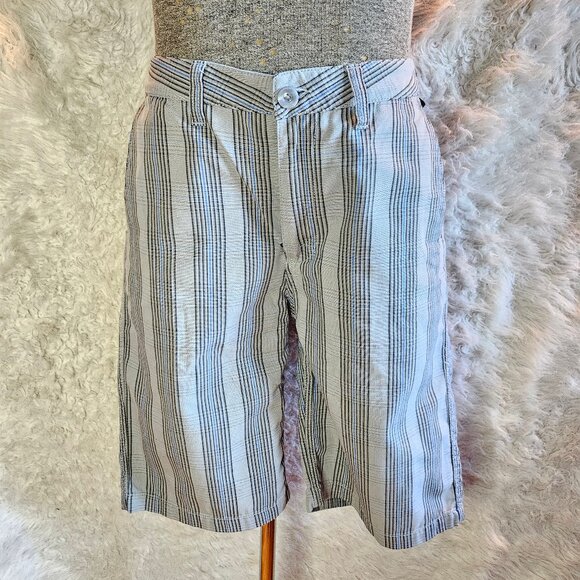 Vans Men’s Gray Striped Shorts Size 32 - Picture 1 of 10